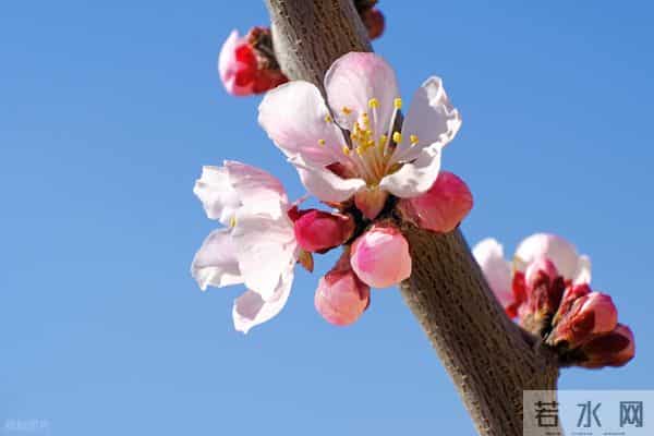 男人对你，经常有这些主动，就是深爱你了