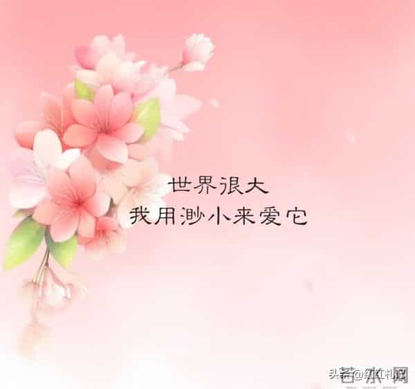 有些东西，好就好在得不到。