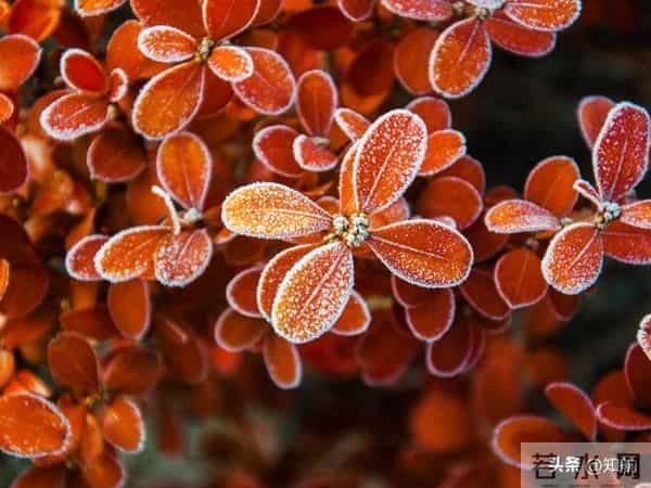 女人动了情,其实不会叫你“老公”,而是叫四个称呼