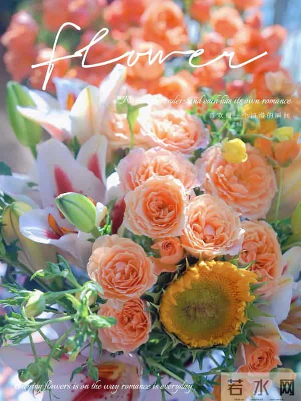 12月10日早上好 早上好温馨问候图片 早安图片最新今天 周三快乐