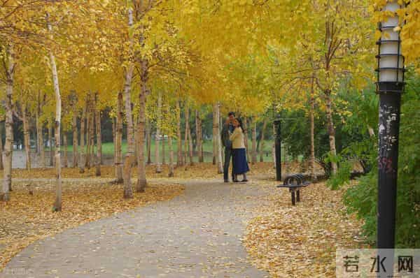 情侣一起考公男友考上辽宁公务员 女生：3年感情比不上1个编制？