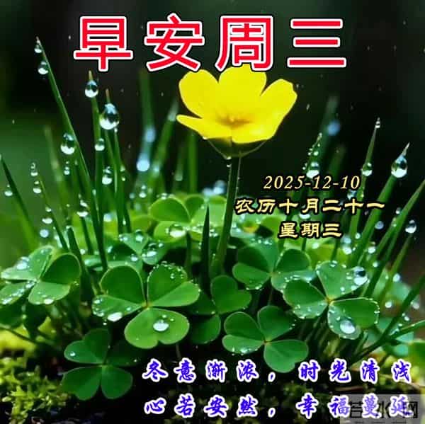 周三早安问候美图-冬意渐浓,时光清浅;心若安然,幸福蔓延