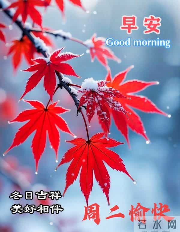12月9日早上好 平凡的生活有知已和朋友 美好的清晨不忘牵挂与问候