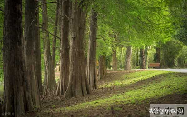 人民日报金句摘抄(1254)