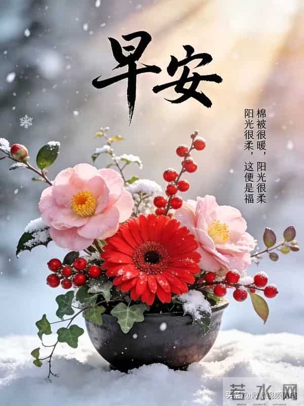 10张早安图片:走错路能调头,可人生的选择没有回头路!周三早安