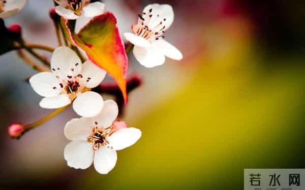 男人对你的感情，是真是假？用这个办法，试一下就清楚了