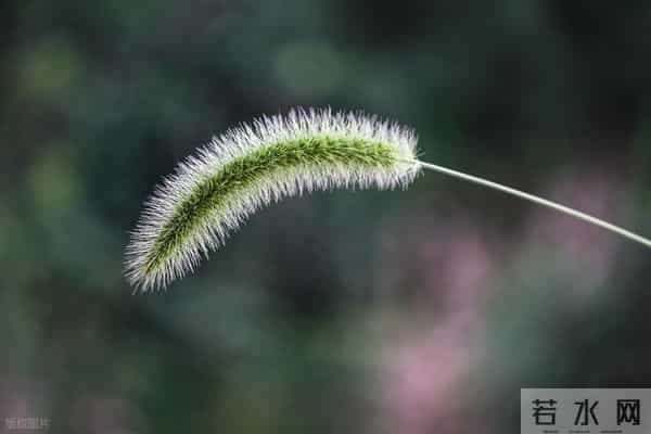 真正想分手的男人，往往不是冷暴力，而是这3种态度
