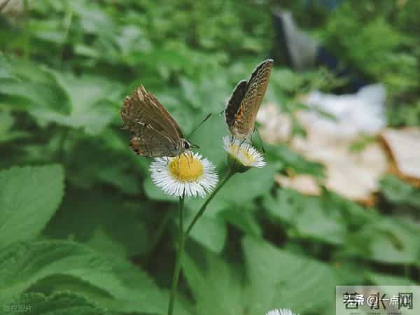 婆婆把房和钱都给了大姑姐，8年后拎包来我家，却说：养儿防老