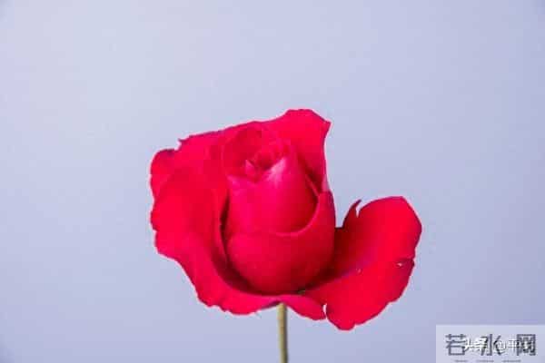 两性关系,女人可以搂着睡,亲她的嘴,但千万别全信她说的话