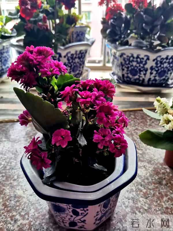 婚姻是张硬纸——回首往事（5）（二）