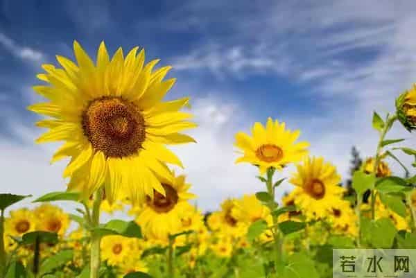 2026年贵人最多的三个星座，越低调，越有人挺你