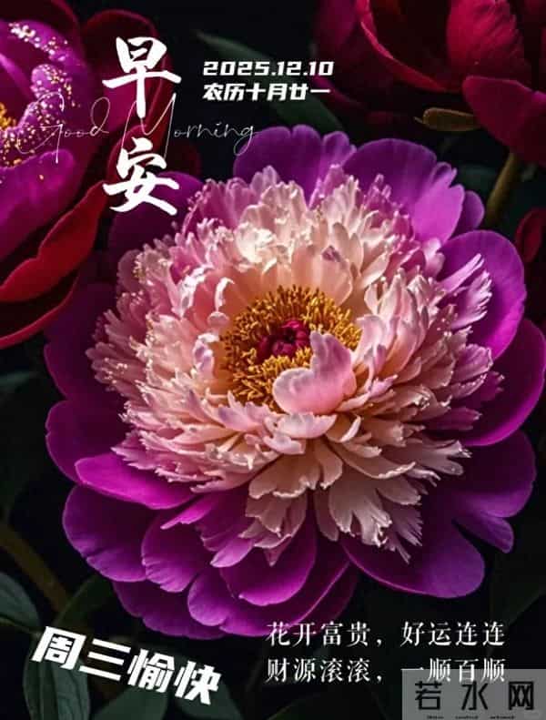 2025年12月10日周三早安 早上好图片最新今天 温馨淡雅的早安图片