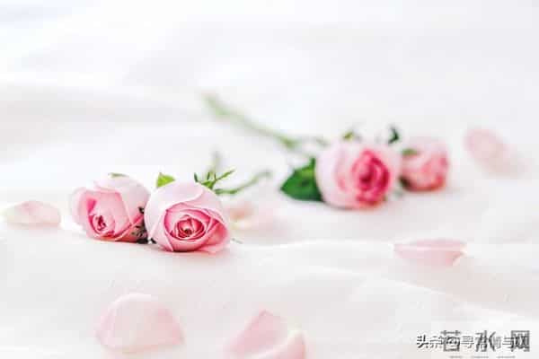 两性关系：男人要明白，女人无论多大年龄，都有这样一个需求