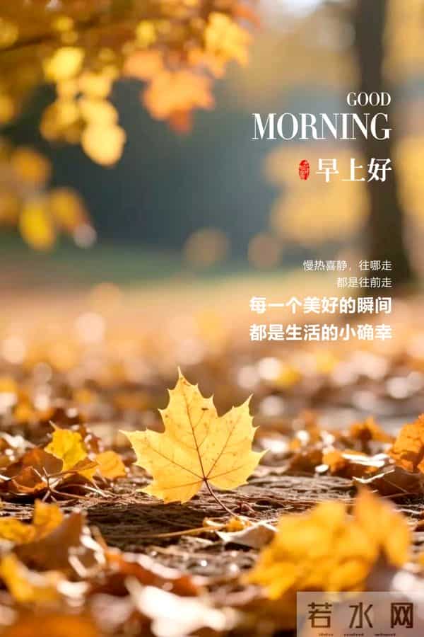 早安朋友圈这样发。温暖治愈，带着光。