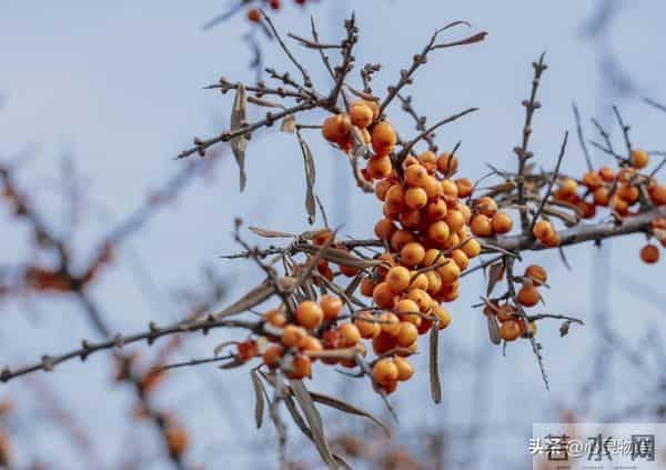 男人爱你”和“男人玩你”，身体语言不会说谎。