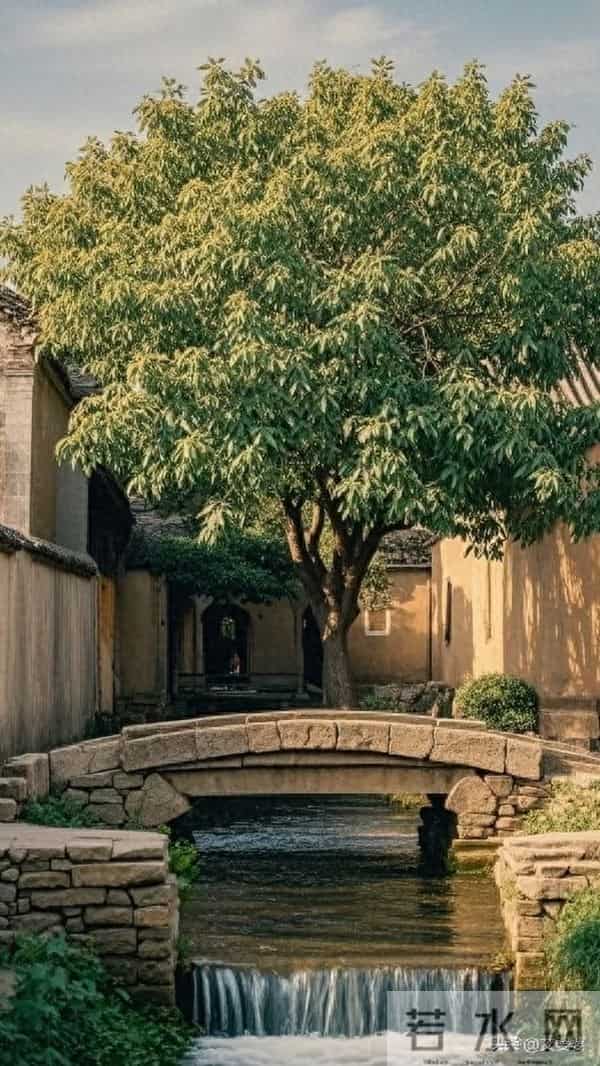 人老了，圈子越小，日子越净