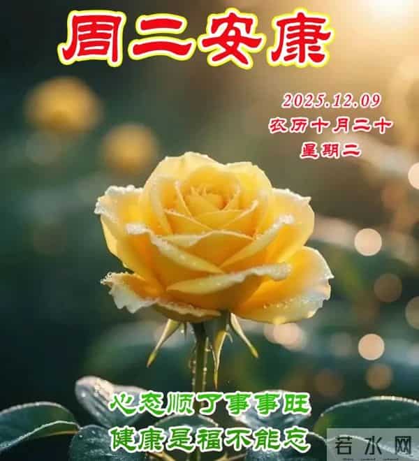 2025.12.09今日十月二十——早上好，周二祝福问候语，早安图片