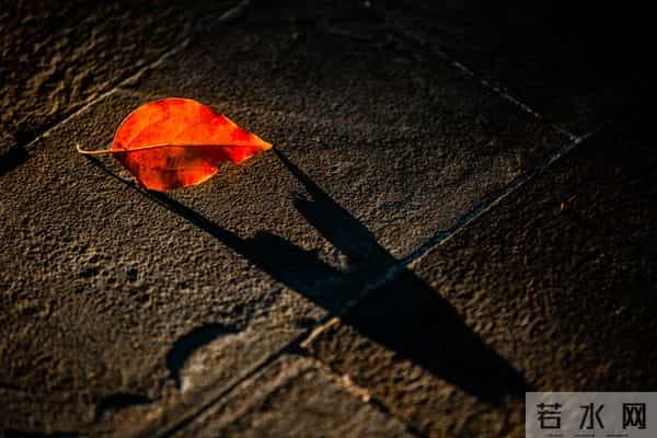 一眼就爱上！20个让你念念不忘的神仙句子，每一句都值得抄下来