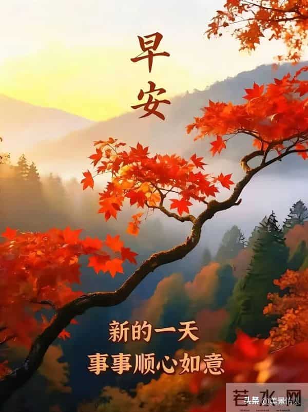 2025.12.10号周三早安祝福美图