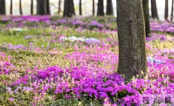 女人这样和男人联系，其实是在拒绝你，你就不要打拢了