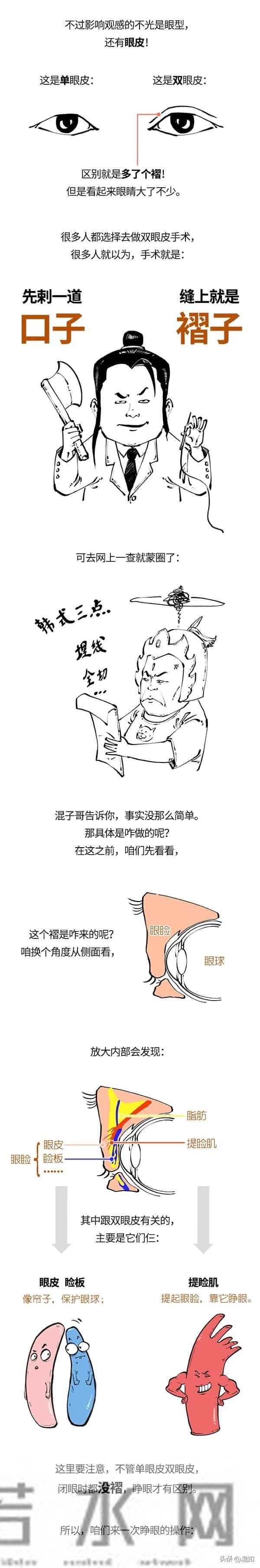 丹凤眼、桃花眼、杏仁眼…30秒自测眼型