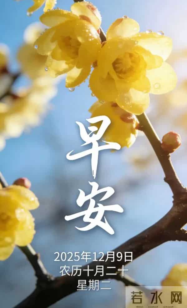 2025.12.9 冬天周二早安愉快！最新精美周二早上好温馨祝福语图片