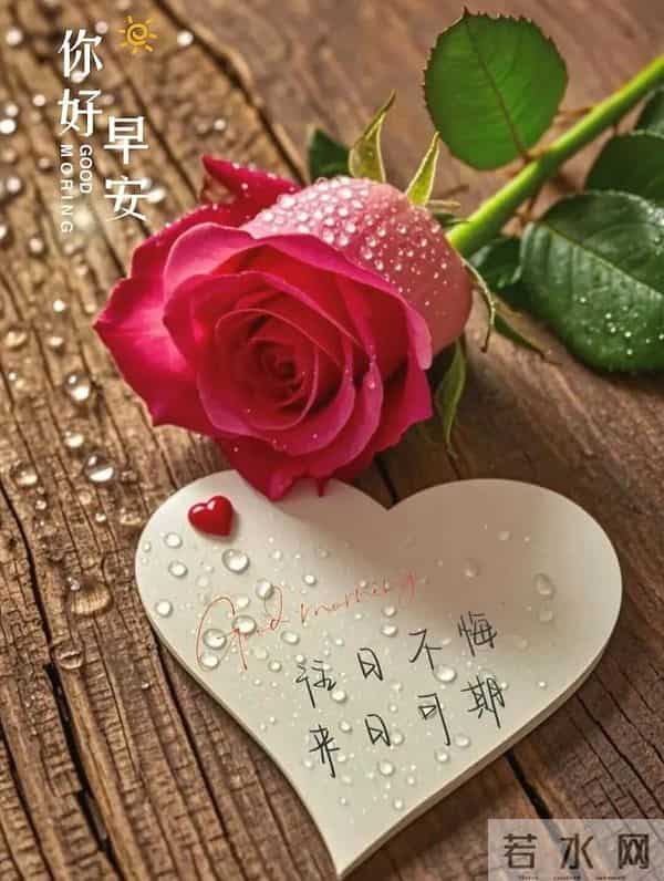 2025年12月10日周三早安 早上好图片最新今天 温馨淡雅的早安图片