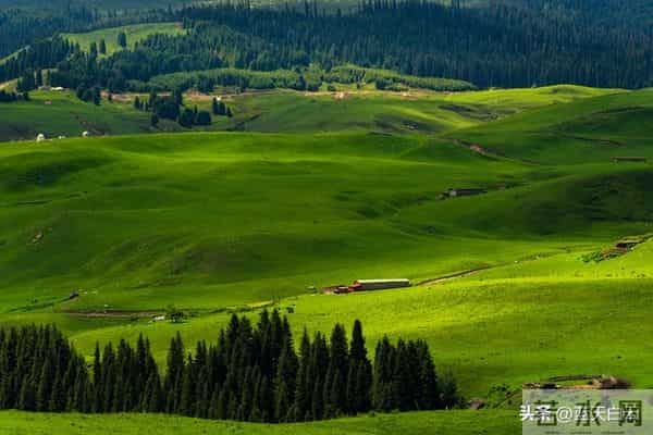 两性关系：60多岁的阿姨们坦言，女人找老伴，最大的需求是这一点