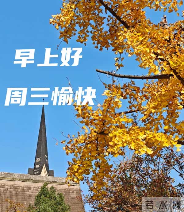 周三早安愉快 早上好温馨问候祝福语 最新早安精美图片 周三愉快