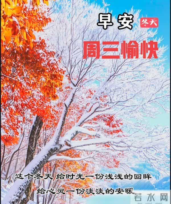 周三早安愉快 早上好温馨问候祝福语 最新早安精美图片 周三愉快