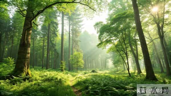 人民日报金句摘抄(1254)