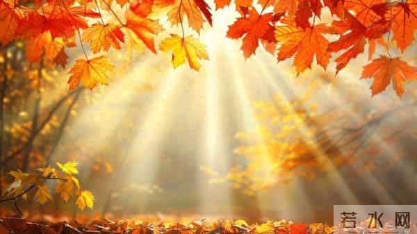 亲爱的，我爱你！牵挂你到老，想念你一生