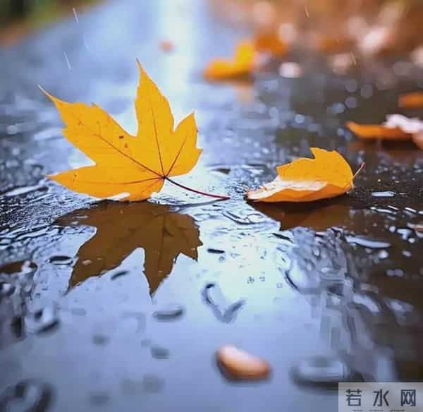 人到中年,越是求“稳”,越容易“活腻了”