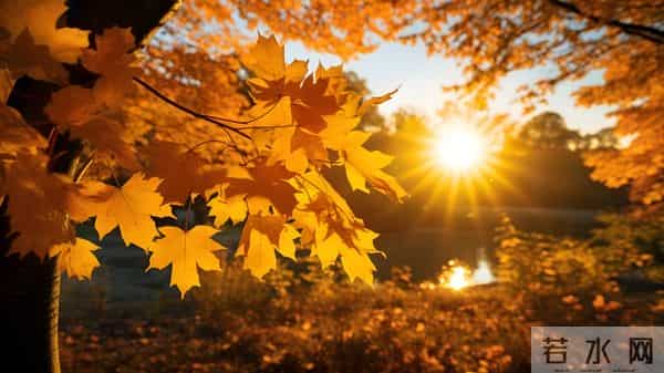 亲爱的，我爱你！牵挂你到老，想念你一生