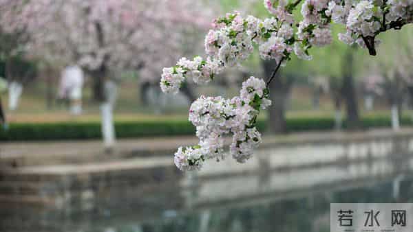 父亲过世老伴出差,公婆姑姐找借口没参加,女人收拾行李回了娘家