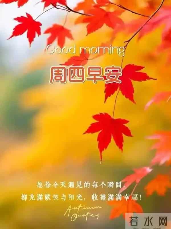 2025年12月11日周四早安 早上好图片最新今天 温馨淡雅的早安图片