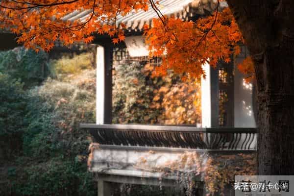 忠告子女：再孝顺，也不要为年过75的老父老母，做这4件事