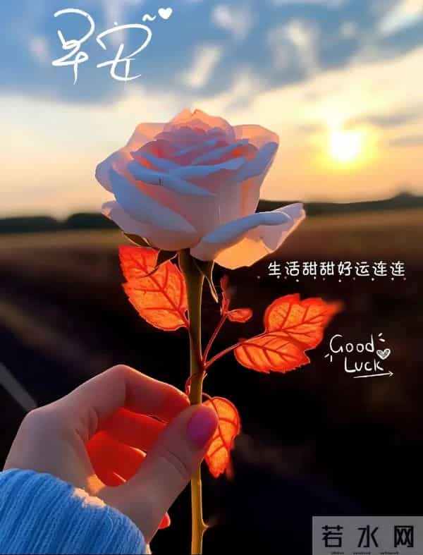 2025.12.09 冬天周二早安愉快!最新精美周二早上好温馨祝福语图片