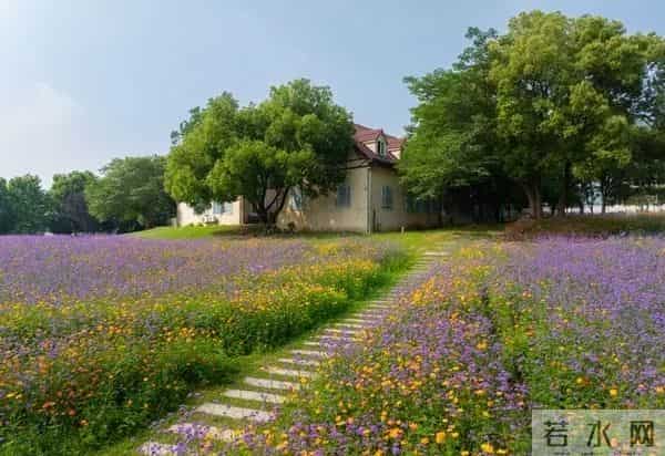 女人这样和男人联系，其实是在拒绝你，你就不要打拢了