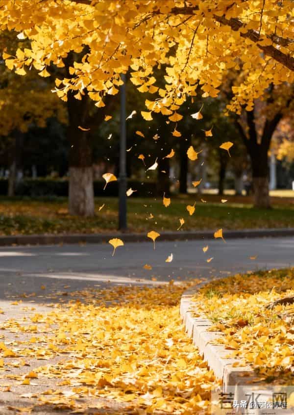 亲人离世后,家人会大病一场,有人挺过来了,而有人没有挺过来