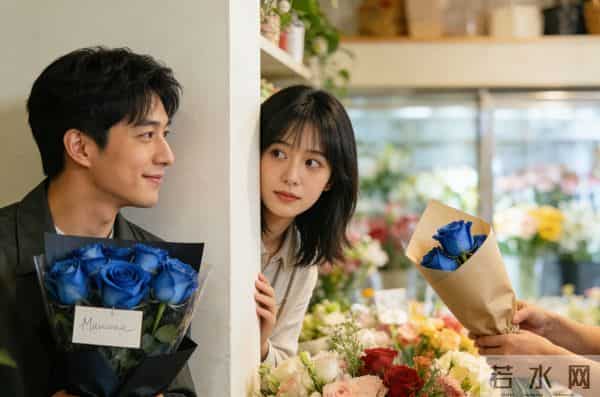 花语说爱3 - 蓝玫瑰：虚幻式爱情，新鲜感终抵不过真心