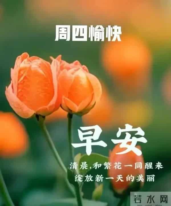 2025年12月11日周四早安 早上好图片最新今天 温馨淡雅的早安图片