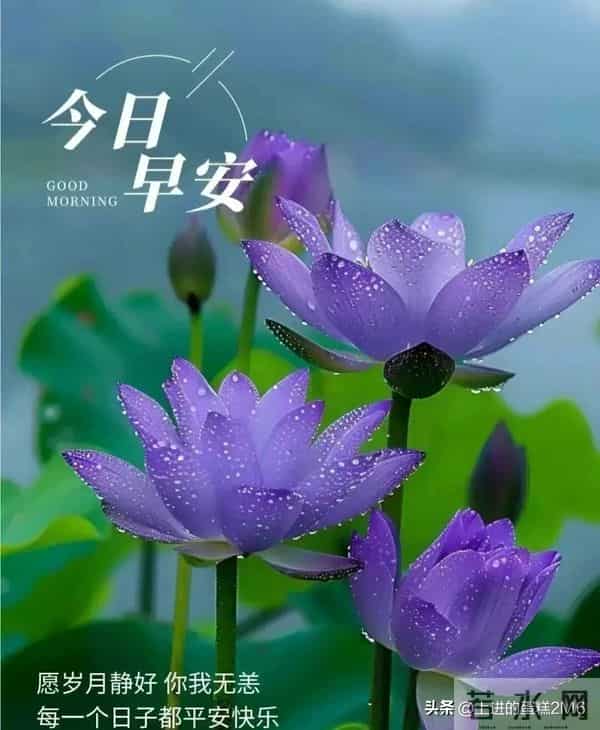 早安!迎着朝阳出发带着收获回家,日子温暖,抬头遇见的皆是美好