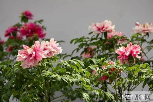 所有不安都是虚惊一场?放宽心,焦虑不过是自寻烦恼!