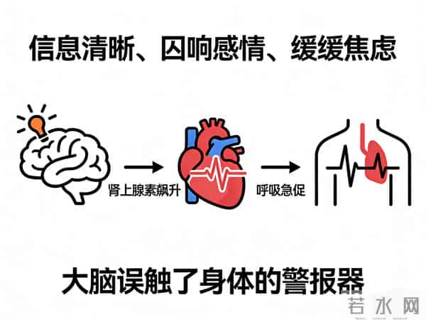 焦虑症会不会心悸啊!