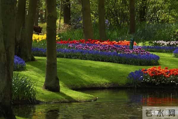 两性关系：多数女性步入60岁，最藏不住的4个渴望，你真的明白吗