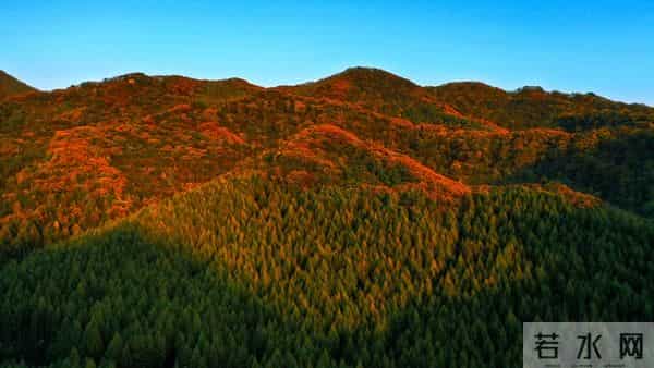 女人动了情，往往不喊老公，而是用这几种称呼