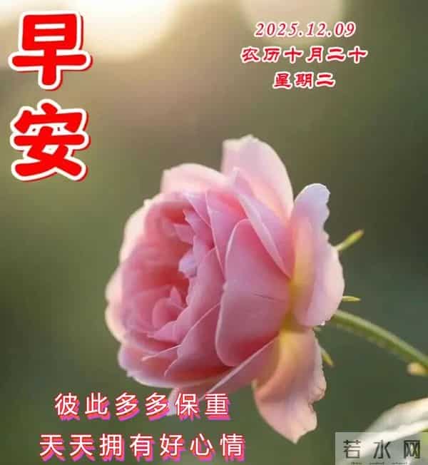2025.12.09今日十月二十——早上好，周二祝福问候语，早安图片