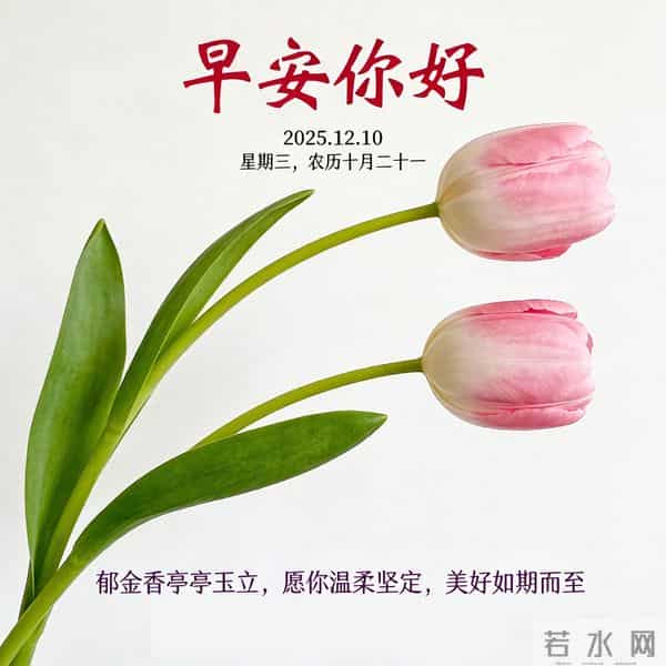 2025.12.10 早安祝福 围巾手套御严寒 亲友叮咛情意暖 早安幸福万年长