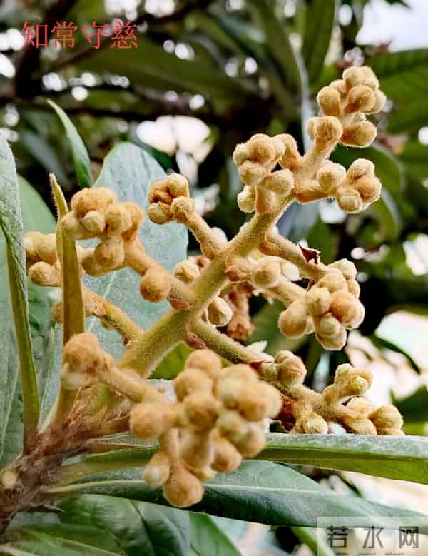 哥俩的命运(1)丈夫深夜被媳妇赶出了家门